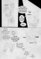 /album/capitolo-ii/pag-042-jpg/